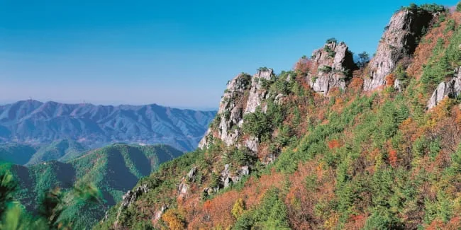 단풍이-물든-서대산-가을-전경