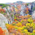 선운산-능선에-단풍이-화려하게-피어있다.