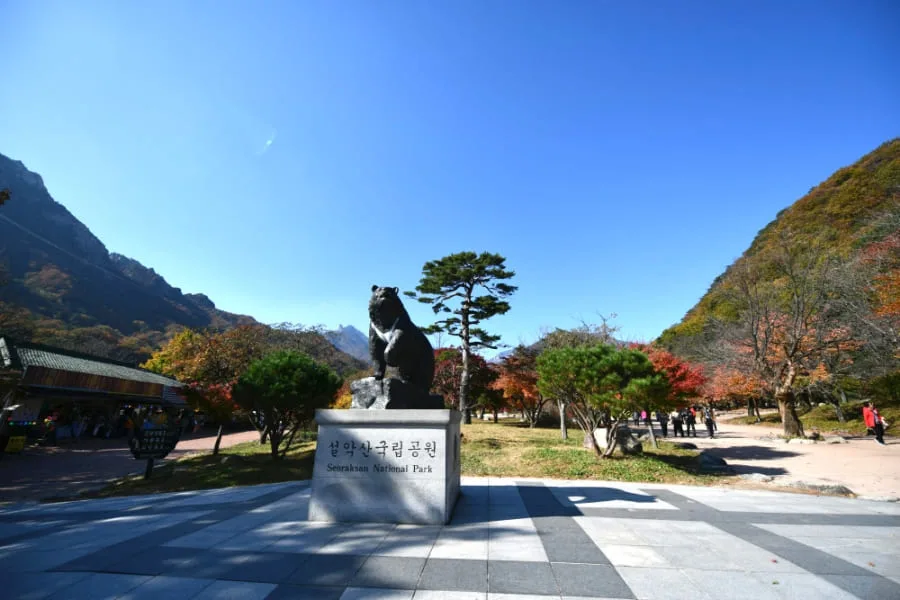 반달곰-동상과-설악산국립공원-명판이-공원에-서있다.