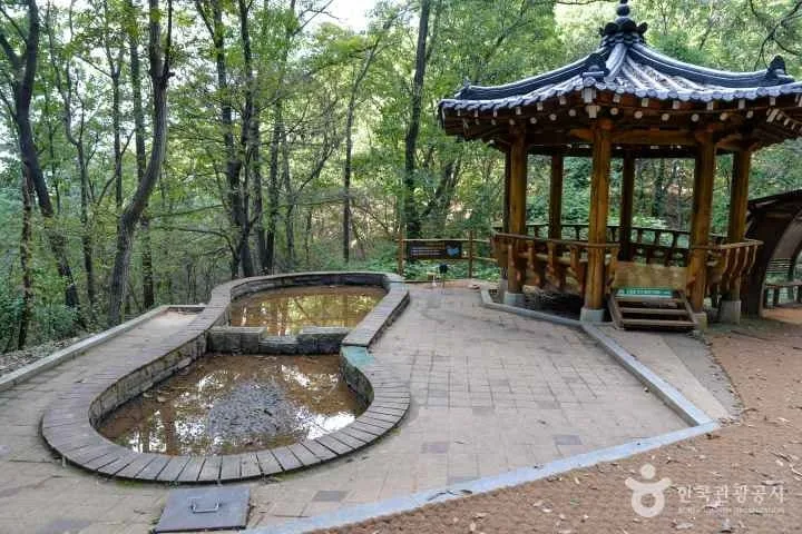 연못형-세족장과-정자가-놓인-풍경