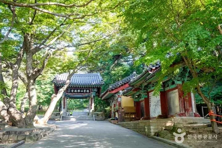 수덕사-입구에-나무가-우거져-있다.