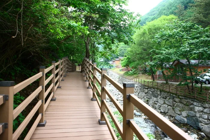 계곡-옆에-나무-데크길이-깔려있다.