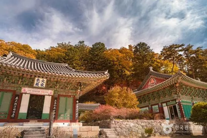 수타사-경내에-단풍나무가-가득하다.