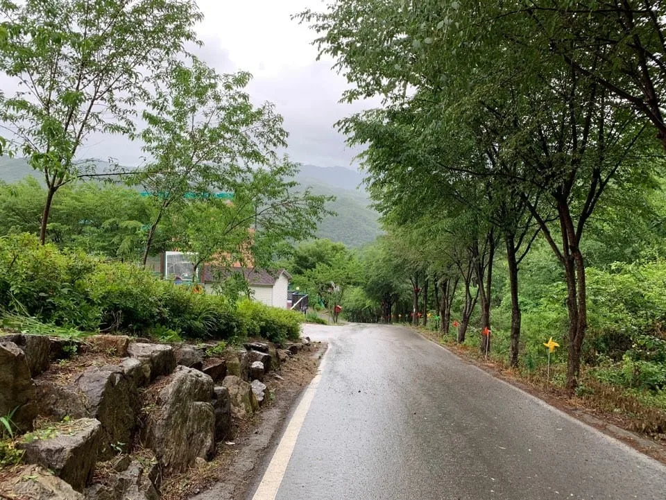 양통마을-길이-평탄하다.