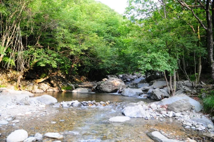 어비계곡에-맑은-물이-가득이다.