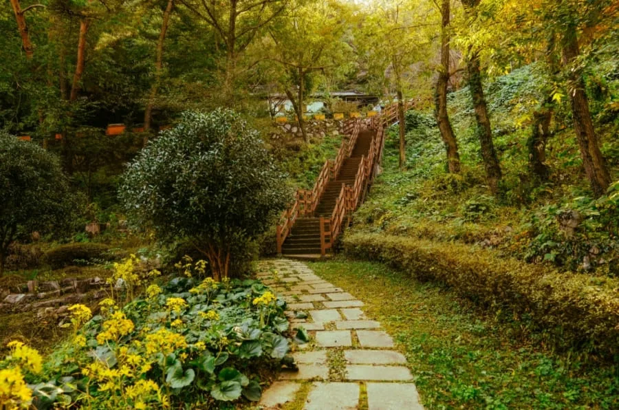 공원-내부에-계단과-길이-잘-설치되어-있다.