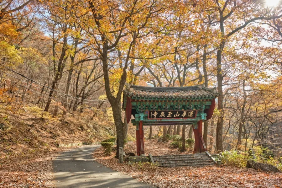 단풍나무-사이로-연화산-옥천사-일주문이-서있다.
