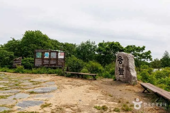 용늪-표지석이-서있다.