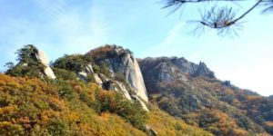 단풍이-물든-용화산의-정상부-모습