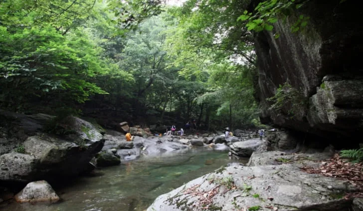 유명산-계곡에-사람들이-피서-중이다.