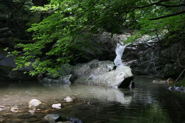 유명산-계곡물이-쏟아지고-있다.