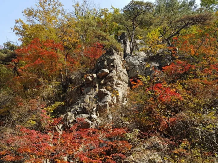 붉게-단풍든-유명산의-풍경