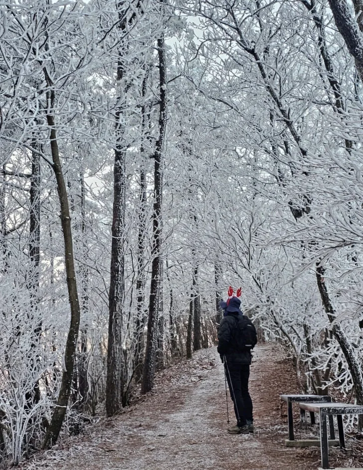 눈이-쌓인-장안산-증산로에-사람이-서-있다.