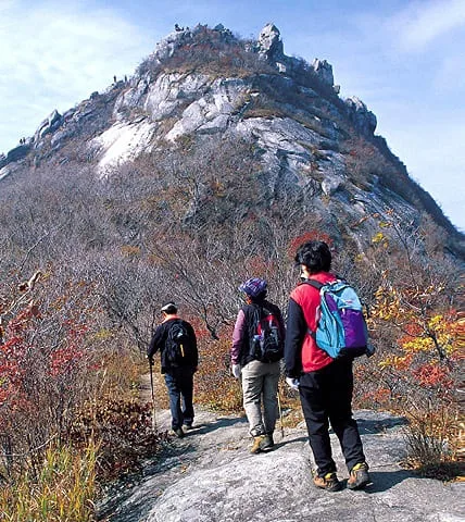 등산객들이-줄서서-정상으로-향한다.