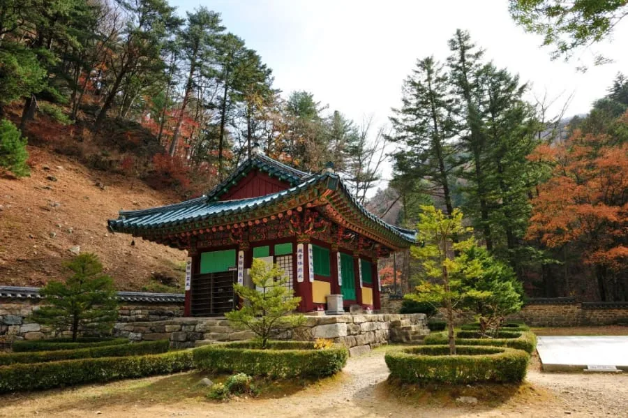 소나무와-단풍나무-사이로-정자가-보인다.