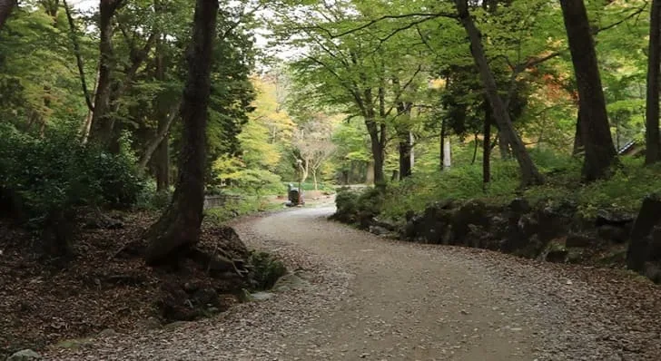 등산로가-평탄하게-놓여있다.