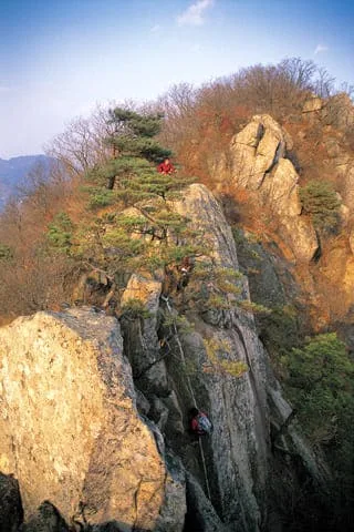 거대하고-가파른-주흘산-부봉에-소나무가-자라났다.