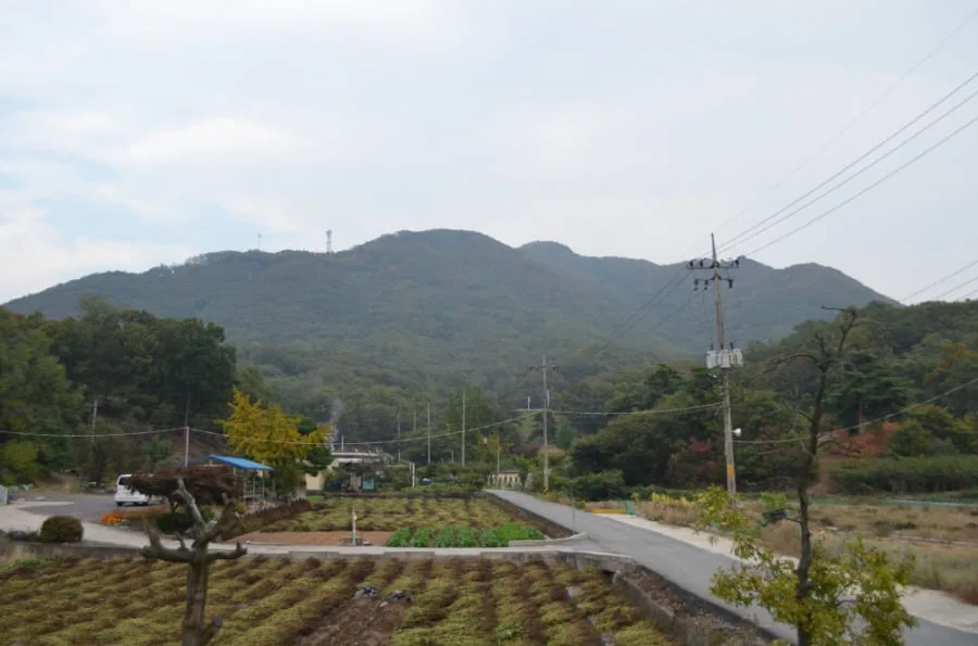 진천-두타산-전경과-인근-마을-풍경