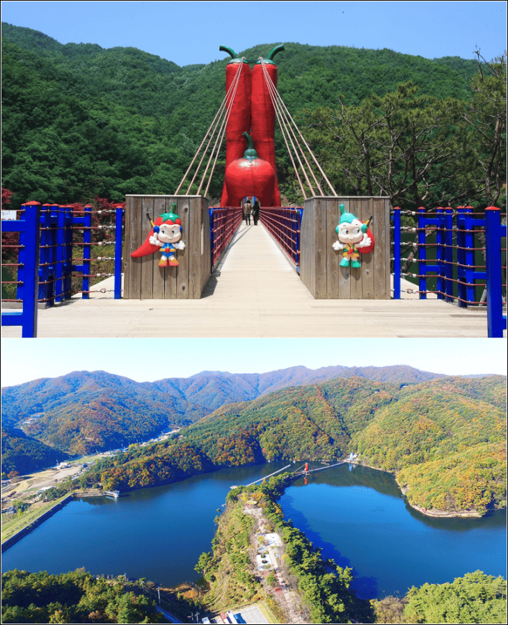 천장호-출렁다리의-입구와-전경이-보여지고-있다.