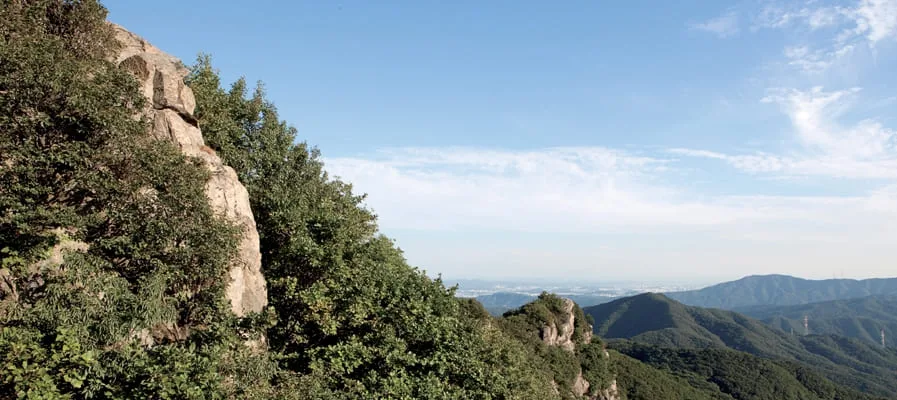 청계산-산세가-드러난-전경