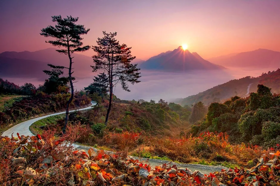 청량산-너머로-해가-떠오른다.