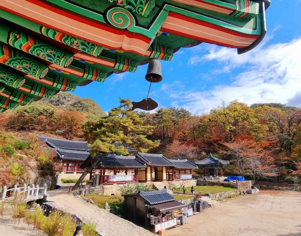 청평사-암자-뒤가-단풍으로-가득하다.