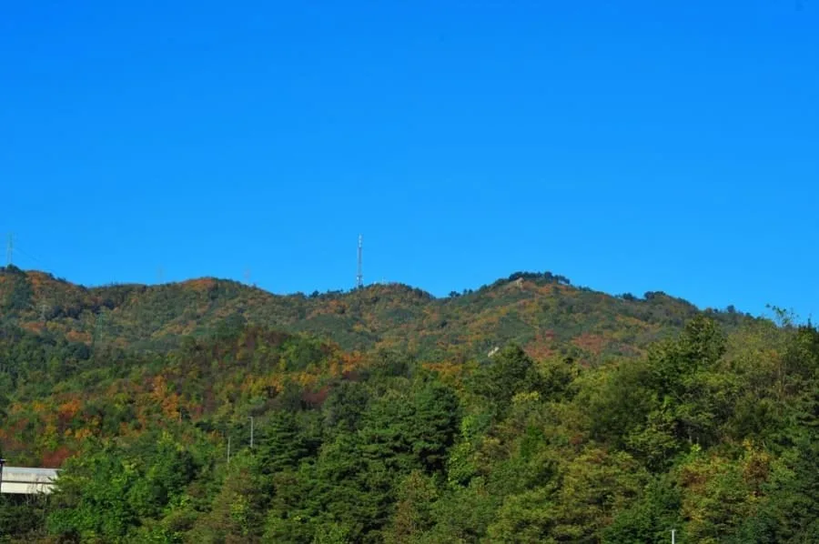 산등성이에-알록달록-단풍이-들었다.