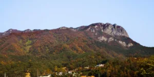 단풍이-물든-푸월산의-정상