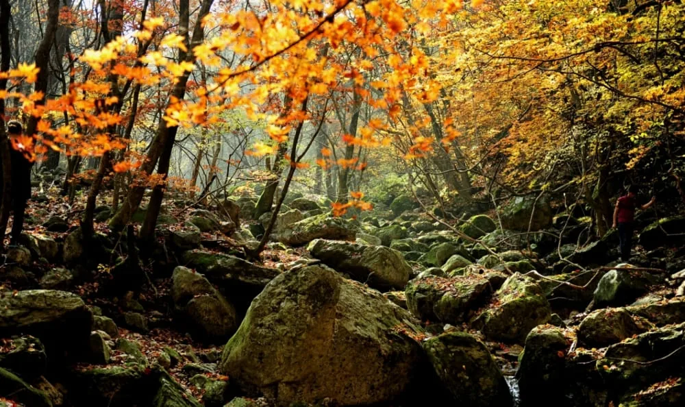 치악산-등산로에-단풍이-들었다.