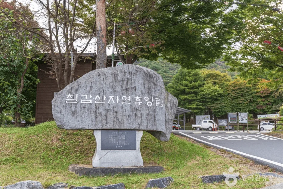 칠갑산-자연휴양림-표지석이-놓여있다.