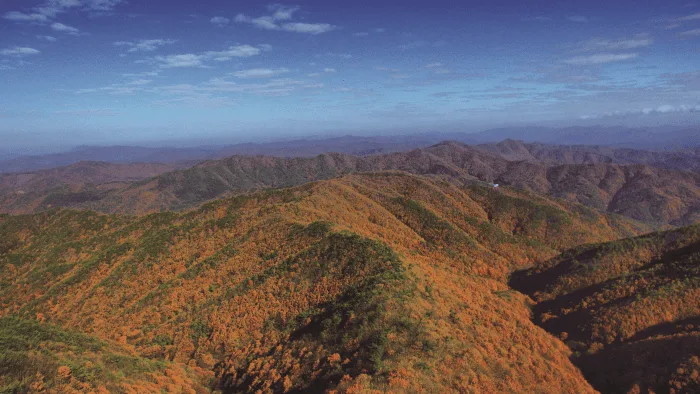 칠갑산에-알록달록한-단풍이-가득-덮여있다.