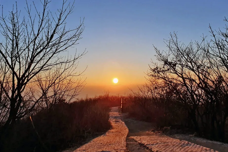 토함산-정상에서-바라본-일출