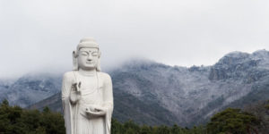 안개낀-팔공산-앞에-동화사-여래상이-서있다.