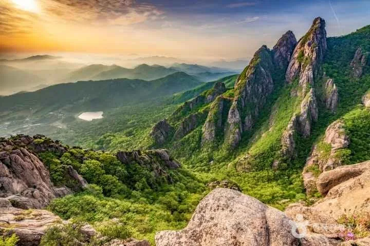 월출산-곳곳에-신록이-가득하다.