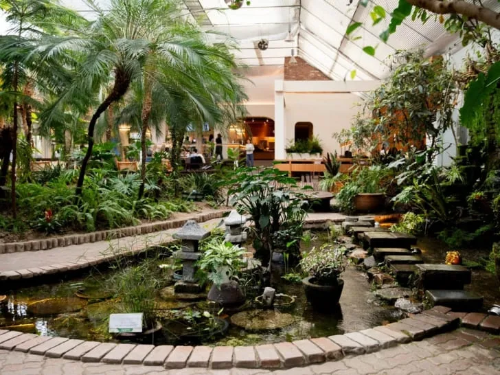 실내-온실에-식물과-연못이-조성되어-있다.