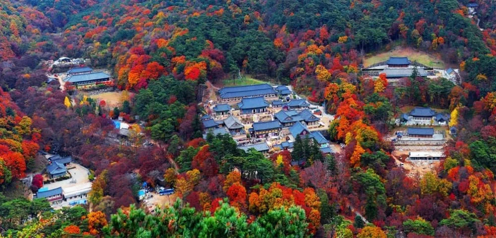 단풍으로-둘러싸인-해인사-암자들