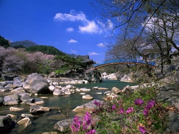 화림동-계곡의-전경