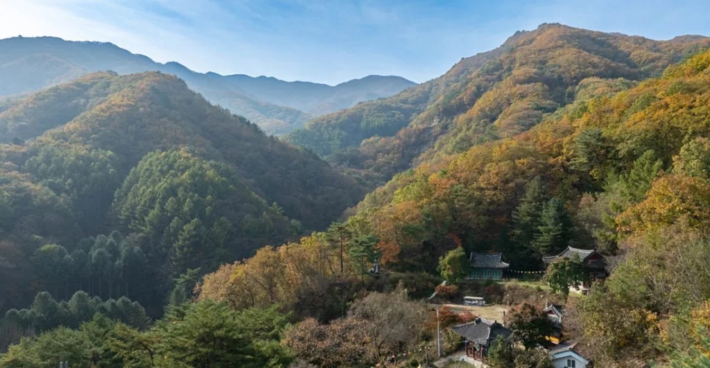 화악산-산세가-보이는-전경