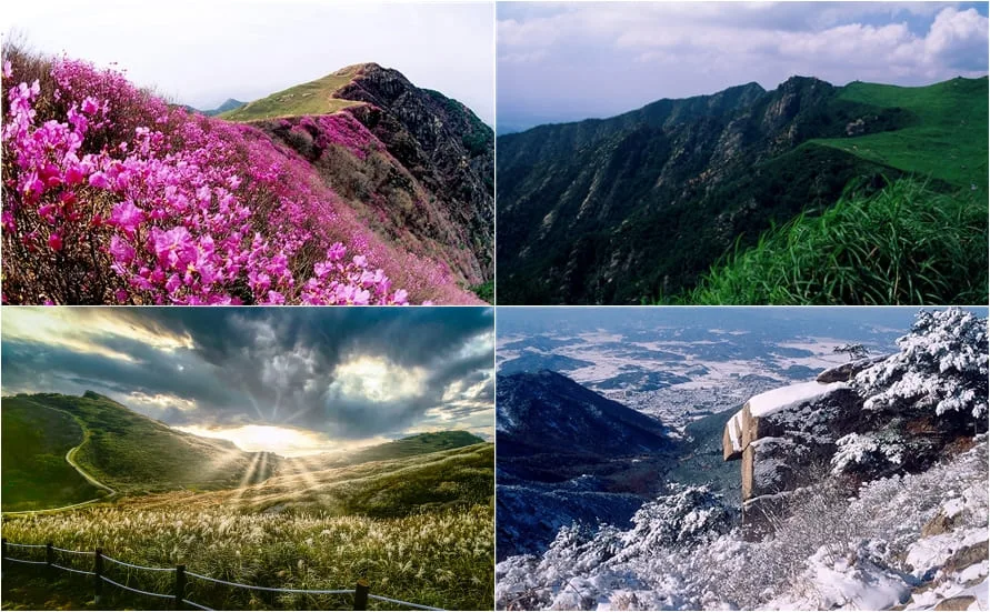 화왕산의-봄-여름-가을-겨울-풍광이-보여지고-있다.