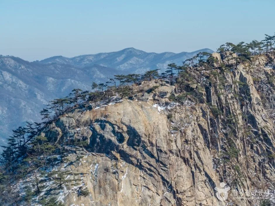 황장산-암릉-틈새에-소나무가-줄지어-자라났다.