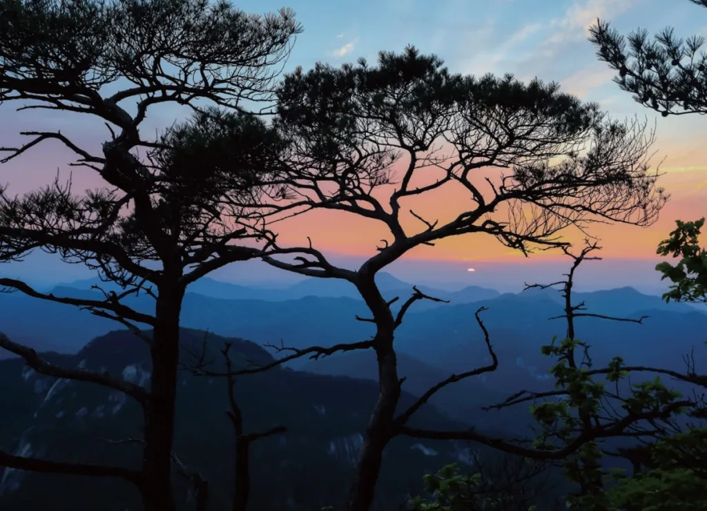 희양산에서-바라본-노송과-일출